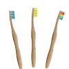 Aanbevolen Bamboe Tandenborstel van DB: Blauw + Regenboog + Geel