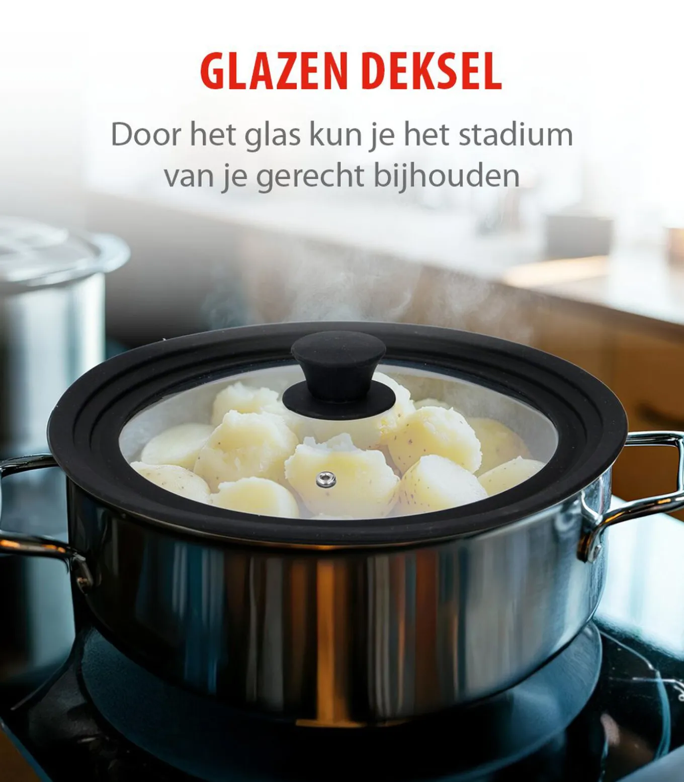 Alpina glazen pannendeksel met siliconen rand - universeel 28 cm