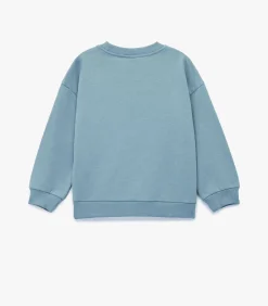 Blauw Baby Sweatshirt Lange Mouwen Met Kapprent