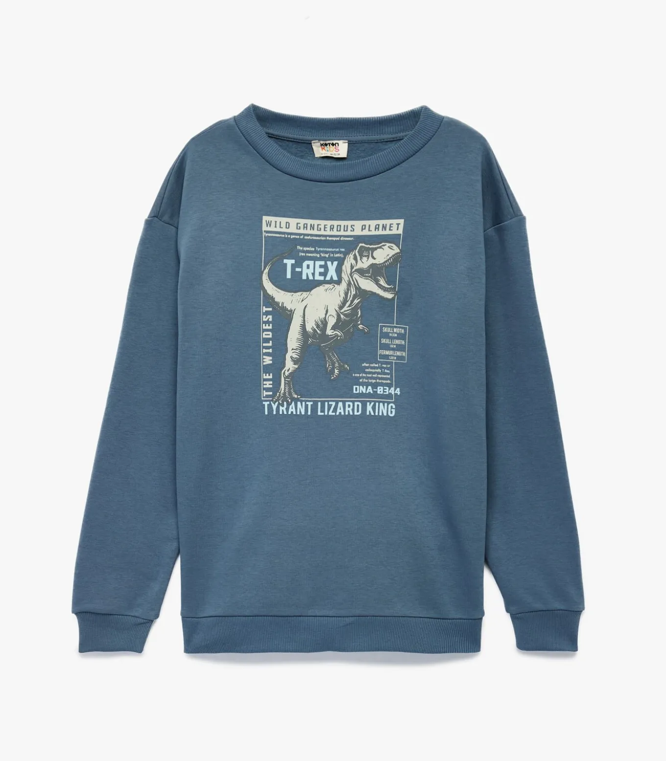 Blauw Sweatshirt Lange Mouwen Ronde Hals Dino Print