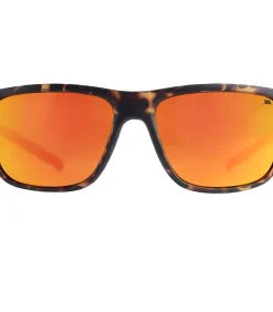 BRINLEY - Zonnebril - Bruin