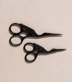 Brow Scissor