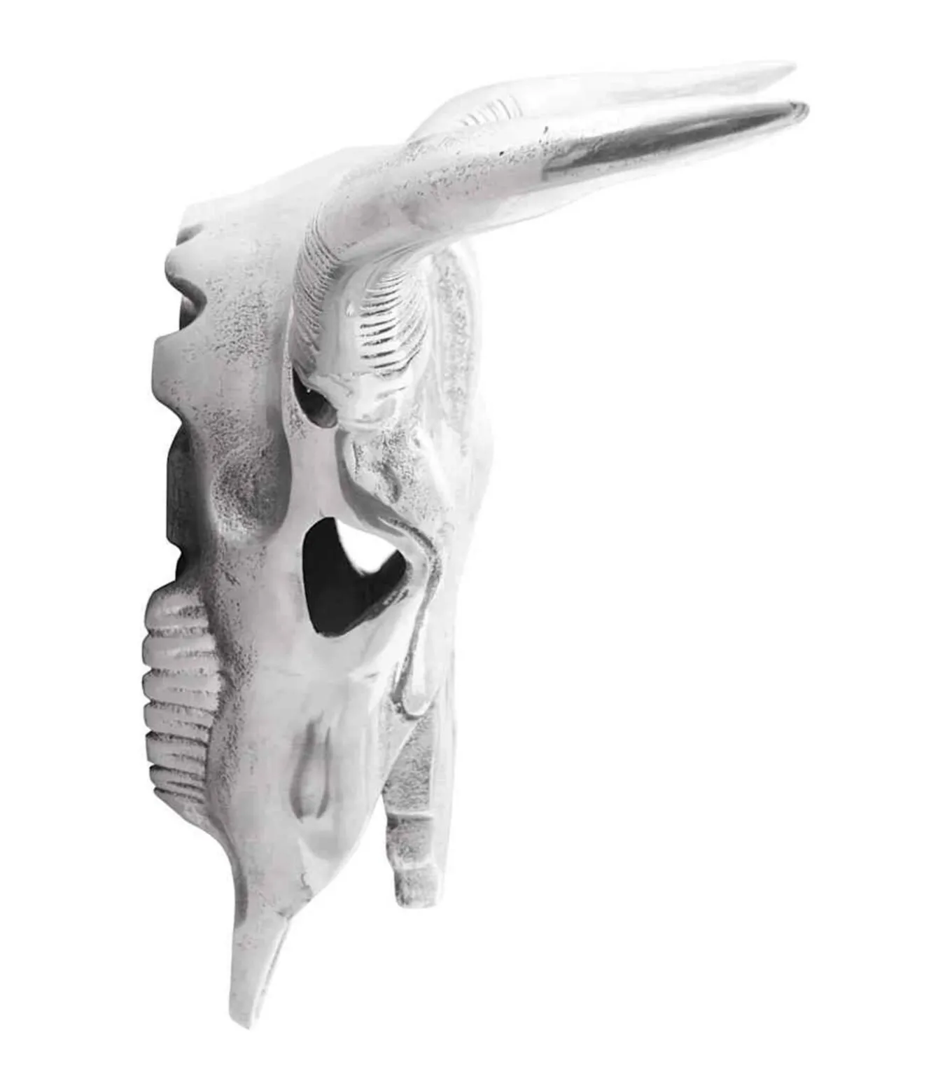 Bullschedel Zilver 34 x 13 x 53 cm Aluminium