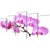 Canvas muurdruk set orchidee 100 x 50 cm