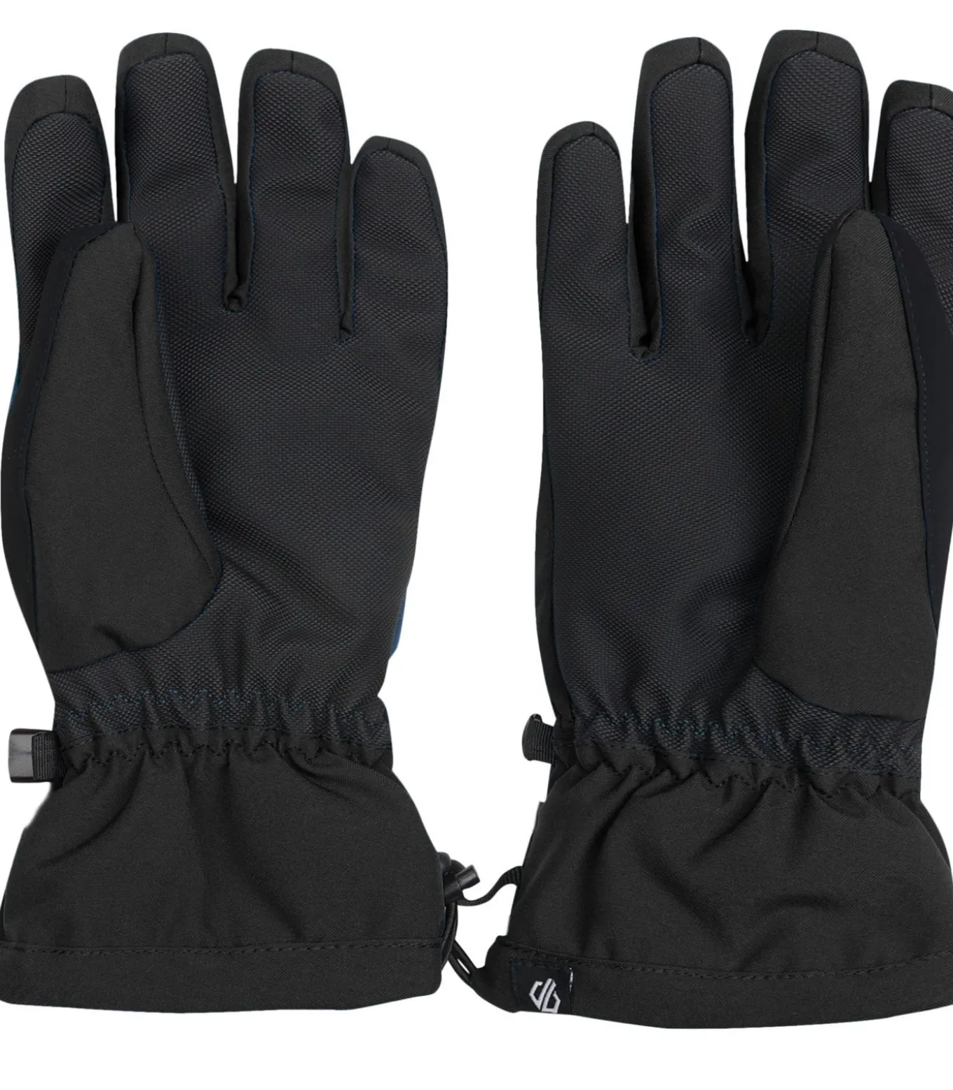 CHARISMA III - Ski-handschoenen - Zwart