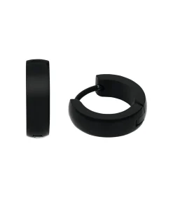 Creolen voor mannen, roestvrij staal