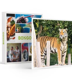 Dagje Bellewaerde voor 1 persoon - Actie