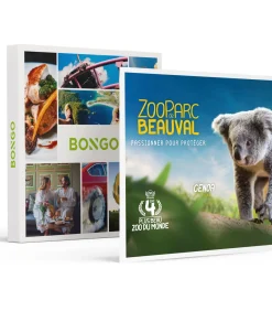 Dagje in het Franse ZooParc de Beauval in 2025 voor 1 persoon - Actie