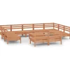 12-delige Loungeset massief grenenhout honingbruin