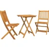 3-delige Tuin Bistro Set - Massief Acaciahout