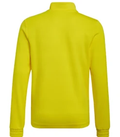 ENTRADA 22 - Sweatshirt - Geel