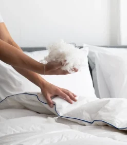 Fabiola - Zacht Halfdons Hoofdkussen - Set van 2 stuks