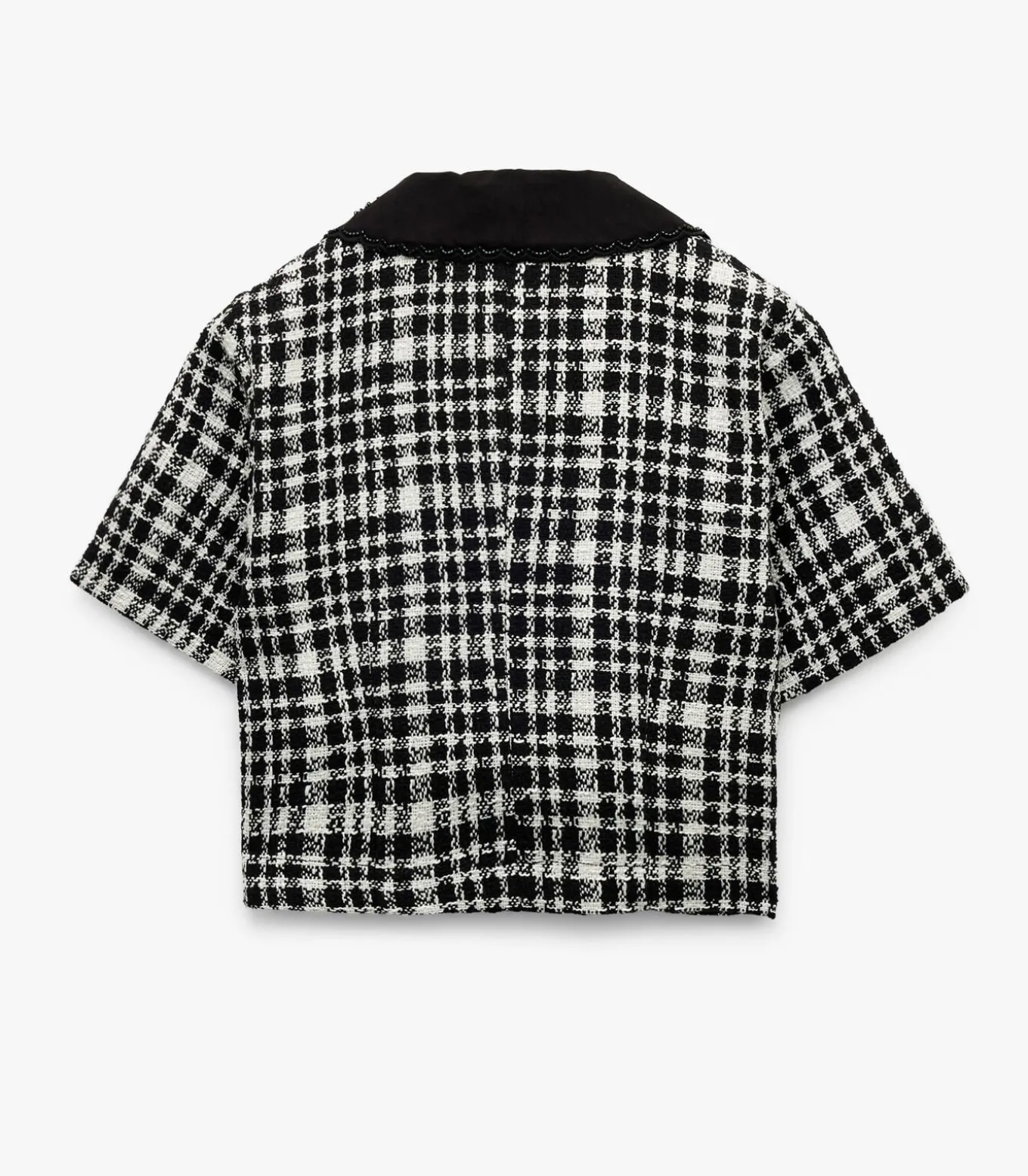 Geruit Crop Blouse Korte Mouwen met Bebe Kraag