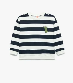 Gestreepte Sweater Lange Mouwen Dino Blauw Baby