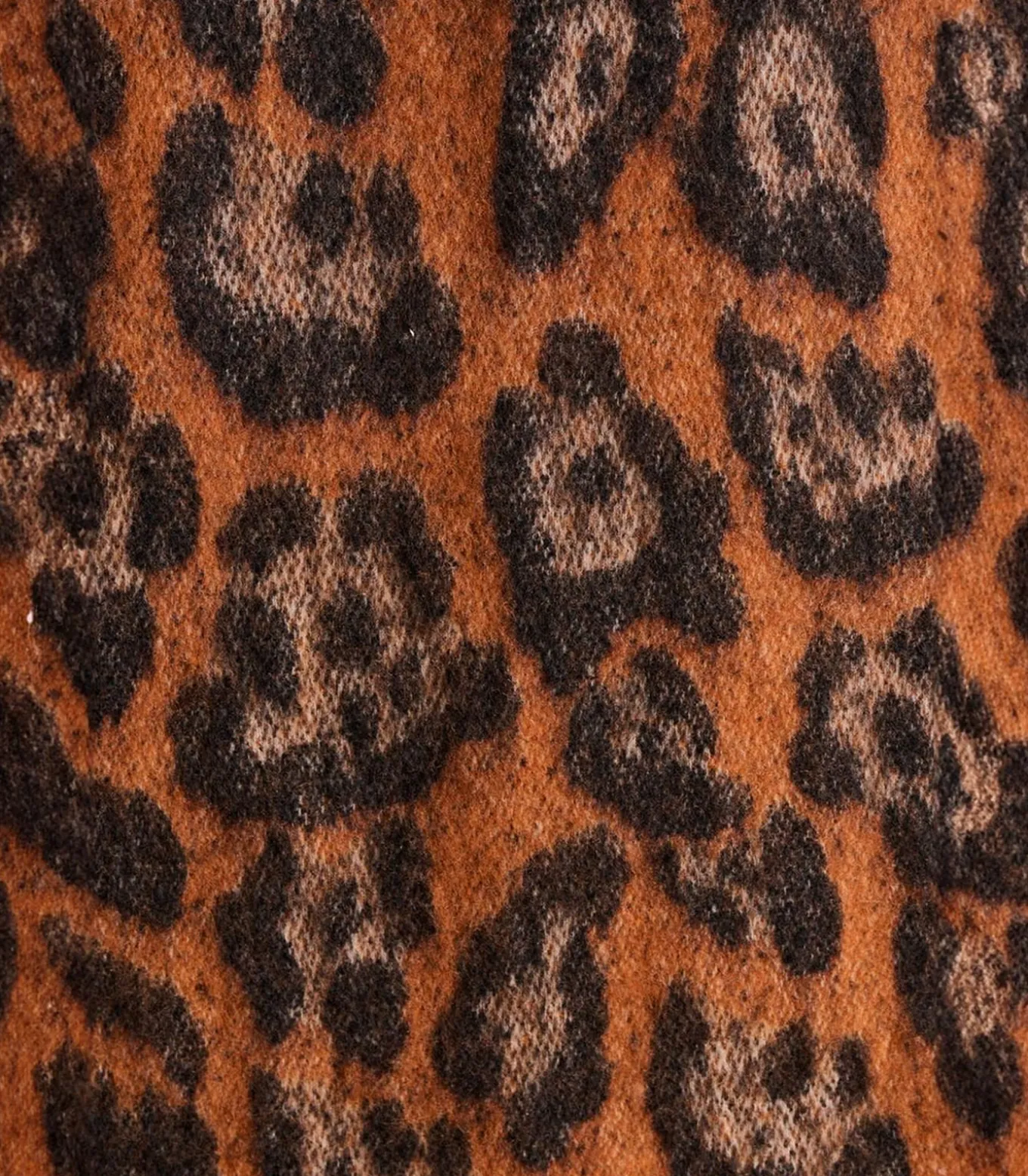 Grote bruine luipaardsjaal