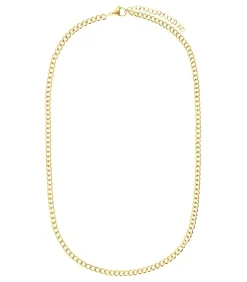 Ketting Staal 45 cm - Zilverkleurig