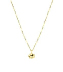 Ketting Zilver 45 cm - Zilverkleurig