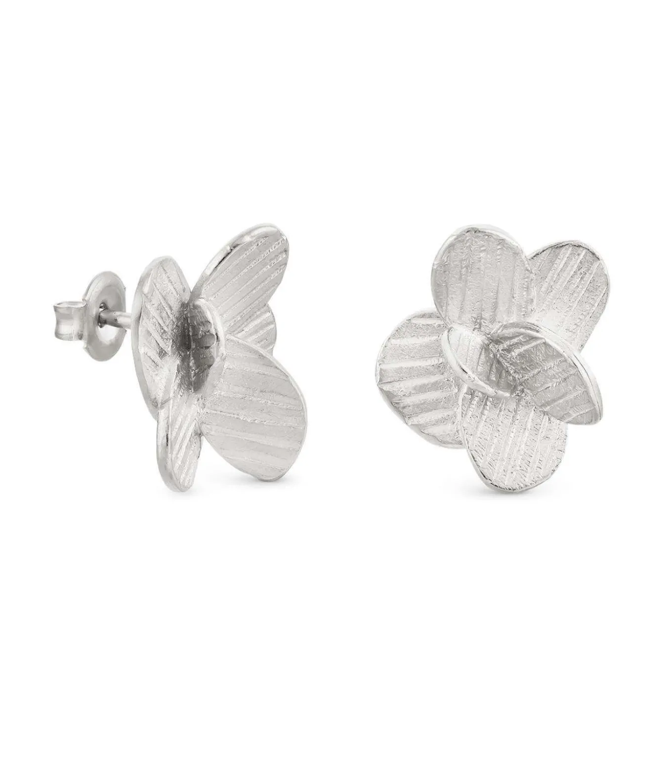 Kleine zilveren oorbellen Pampalonia