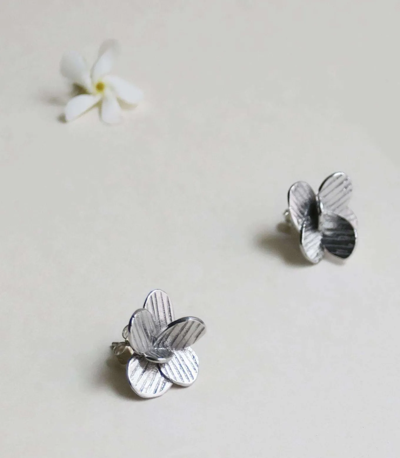 Kleine zilveren oorbellen Pampalonia