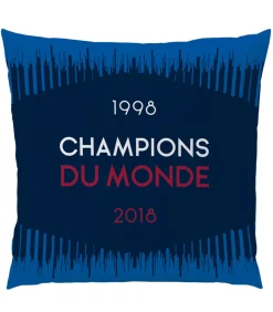 Kussen bedrukt 100% polyester, CHAMPIONS