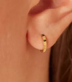 Oorbellen 14 Karaat Goud