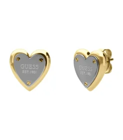 Oorbellen Staal - Goud- en Zilverkleurig