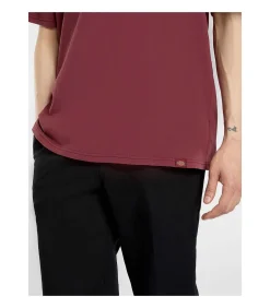 Plentywood Ss Tee