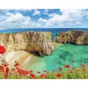 Ravensburger legpuzzel Klaprozen Algarve Portugal - 1000 stukjes bloemen landschap
