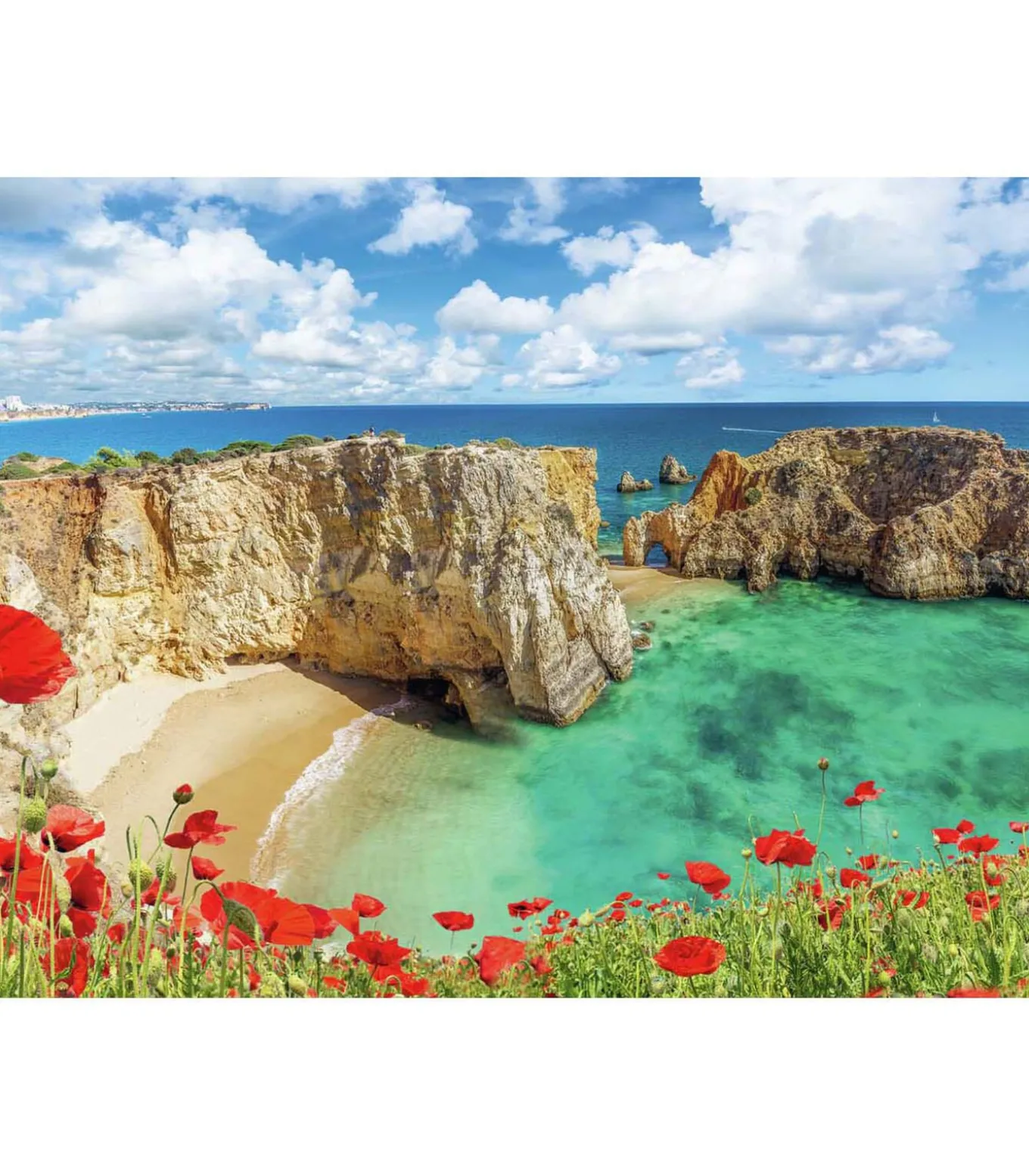 Ravensburger legpuzzel Klaprozen Algarve Portugal - 1000 stukjes bloemen landschap