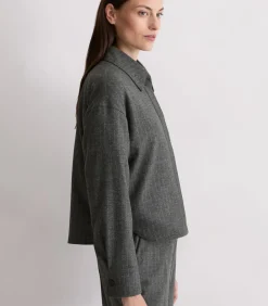 Regular krijtstreepjasje