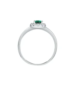 Ring AURORA