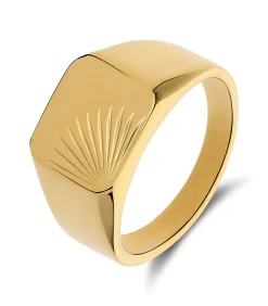 Ring Staal - goudkleurig