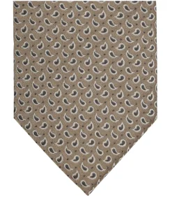 Stropdas Zijde Paisley Beige