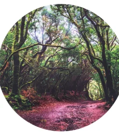 TickiT speelmat bos ontdekking - sensorisch speelkleed polyester