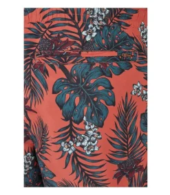 TROPICAL - Zwembroek - Koraal