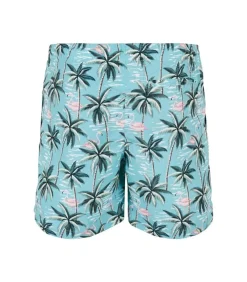 TROPICAL BIRDS - Zwembroek - Blauw