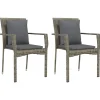 Tuinstoelen 2 st met kussens poly rattan grijs