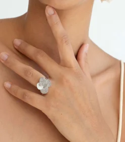 Zilveren ring Pampalonia